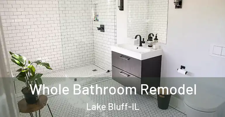 inner Bathroom imggen Whole Bathroom Remodel Lake Bluff-IL