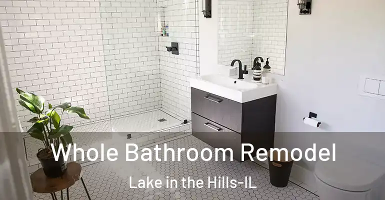 inner Bathroom imggen Whole Bathroom Remodel Lake in the Hills-IL
