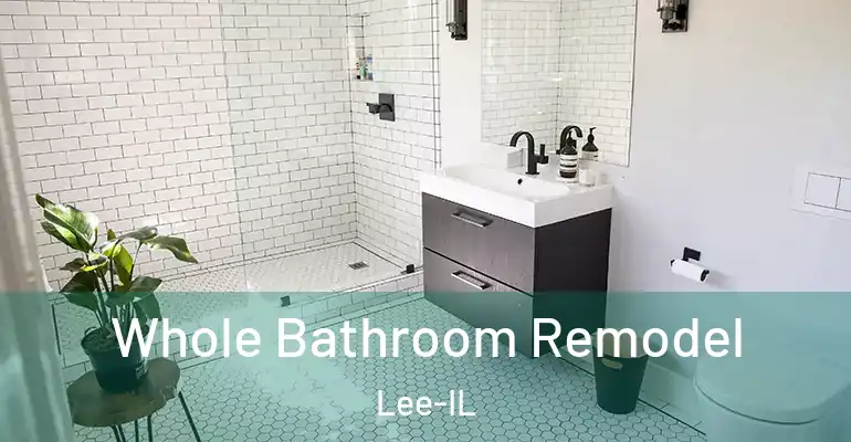 inner Bathroom imggen Whole Bathroom Remodel Lee-IL