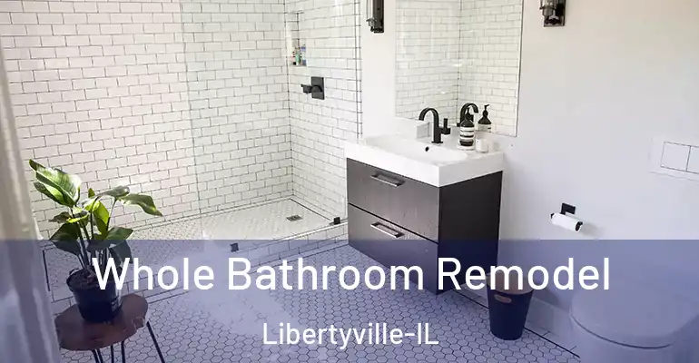 inner Bathroom imggen Whole Bathroom Remodel Libertyville-IL