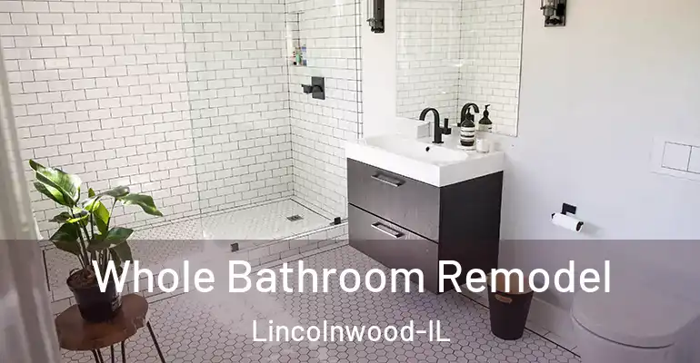 inner Bathroom imggen Whole Bathroom Remodel Lincolnwood-IL