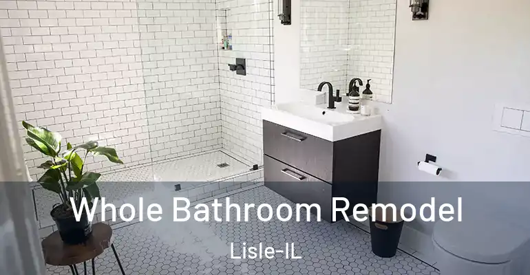 inner Bathroom imggen Whole Bathroom Remodel Lisle-IL