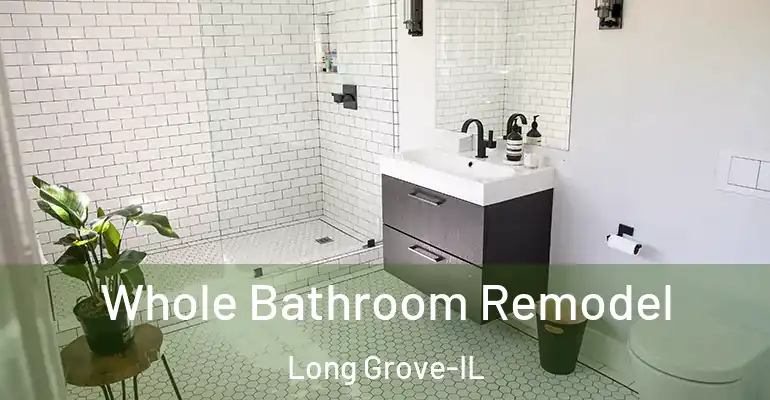 inner Bathroom imggen Whole Bathroom Remodel Long Grove-IL