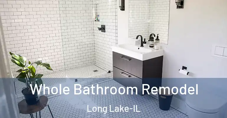 inner Bathroom imggen Whole Bathroom Remodel Long Lake-IL