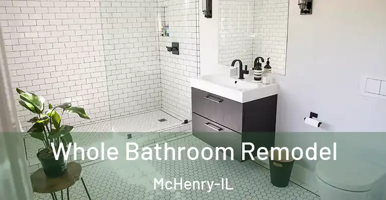 inner Bathroom imggen Whole Bathroom Remodel McHenry-IL