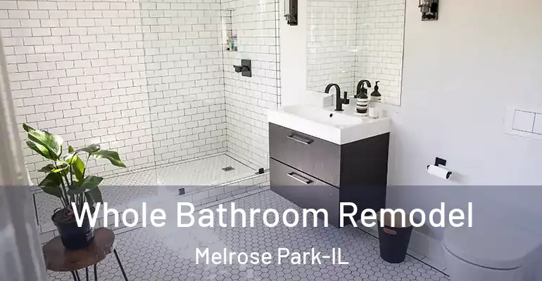 inner Bathroom imggen Whole Bathroom Remodel Melrose Park-IL