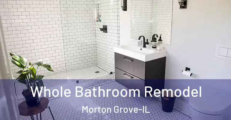 inner Bathroom imggen Whole Bathroom Remodel Morton Grove-IL