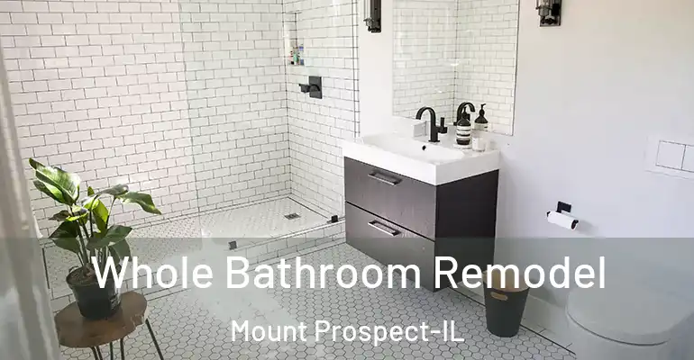 inner Bathroom imggen Whole Bathroom Remodel Mount Prospect-IL