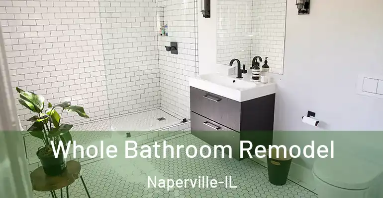 inner Bathroom imggen Whole Bathroom Remodel Naperville-IL