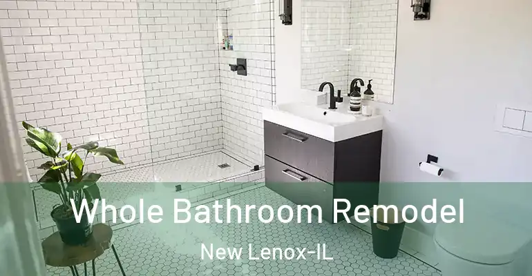 inner Bathroom imggen Whole Bathroom Remodel New Lenox-IL