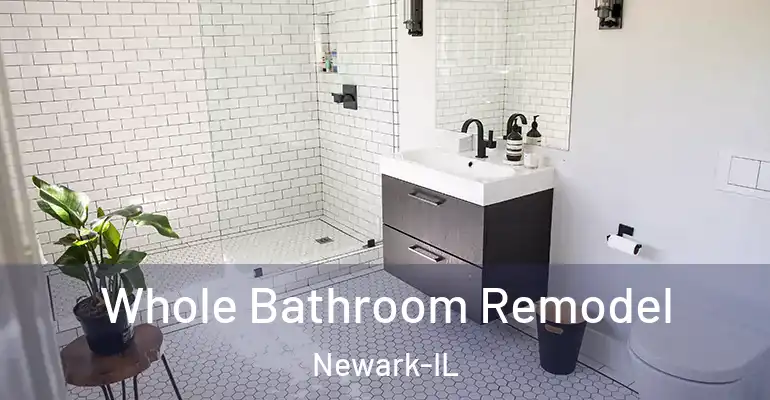 inner Bathroom imggen Whole Bathroom Remodel Newark-IL