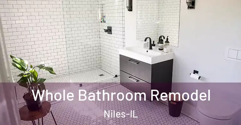 inner Bathroom imggen Whole Bathroom Remodel Niles-IL