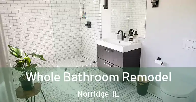 inner Bathroom imggen Whole Bathroom Remodel Norridge-IL