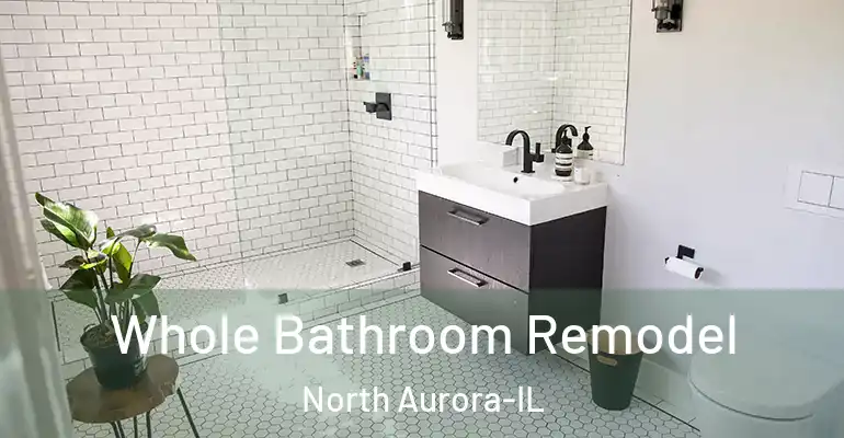 inner Bathroom imggen Whole Bathroom Remodel North Aurora-IL