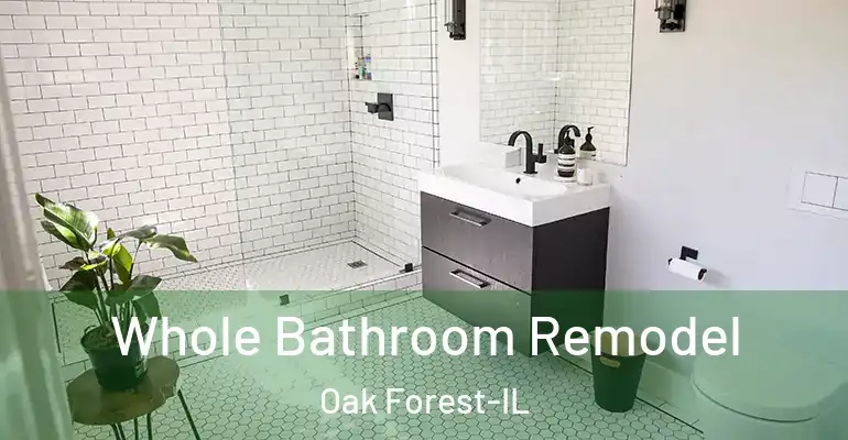 inner Bathroom imggen Whole Bathroom Remodel Oak Forest-IL
