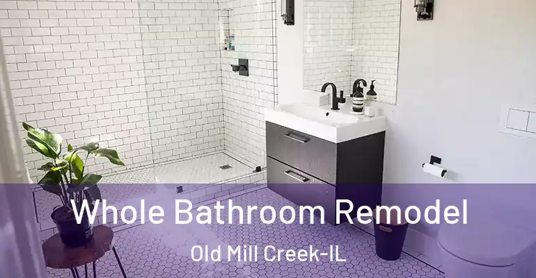 inner Bathroom imggen Whole Bathroom Remodel Old Mill Creek-IL