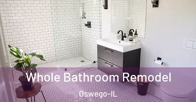 inner Bathroom imggen Whole Bathroom Remodel Oswego-IL