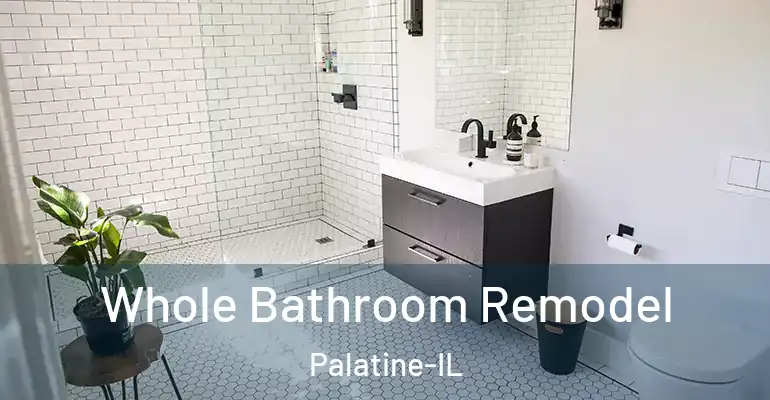 inner Bathroom imggen Whole Bathroom Remodel Palatine-IL