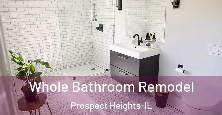 inner Bathroom imggen Whole Bathroom Remodel Prospect Heights-IL