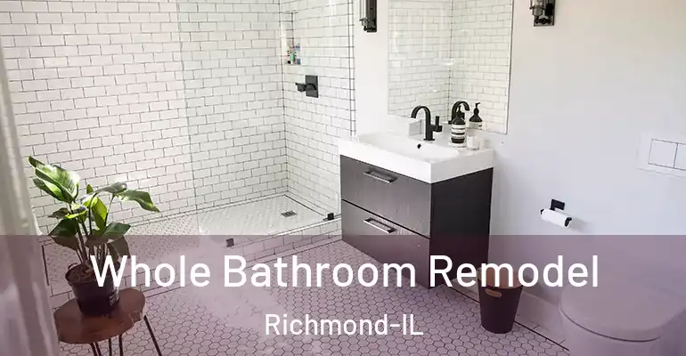 inner Bathroom imggen Whole Bathroom Remodel Richmond-IL