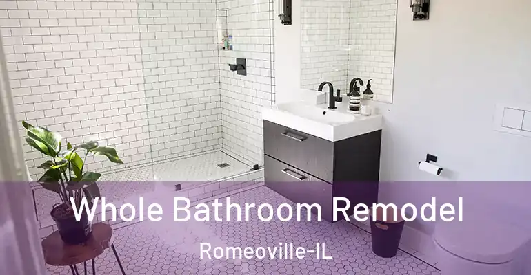 inner Bathroom imggen Whole Bathroom Remodel Romeoville-IL