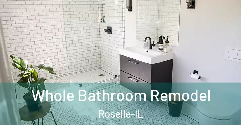 inner Bathroom imggen Whole Bathroom Remodel Roselle-IL