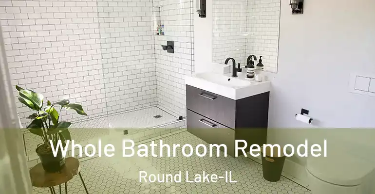 inner Bathroom imggen Whole Bathroom Remodel Round Lake-IL
