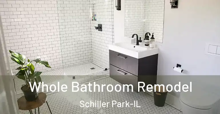 inner Bathroom imggen Whole Bathroom Remodel Schiller Park-IL