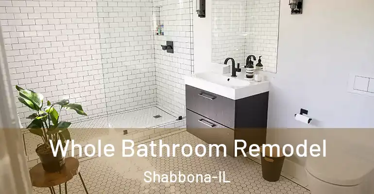 inner Bathroom imggen Whole Bathroom Remodel Shabbona-IL