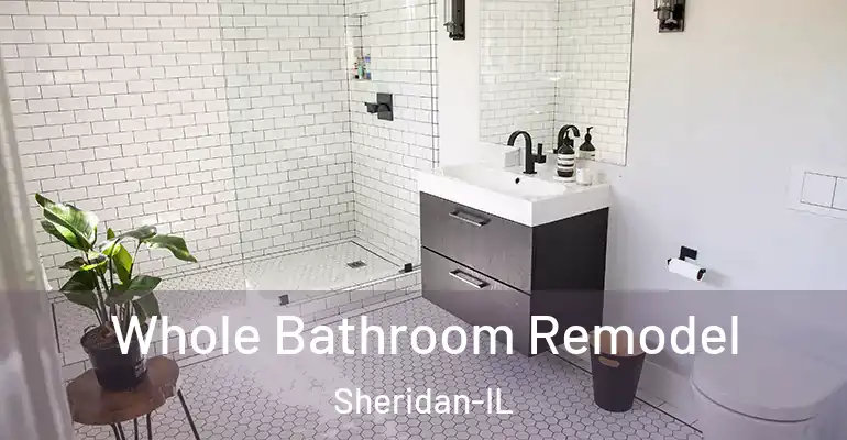 inner Bathroom imggen Whole Bathroom Remodel Sheridan-IL