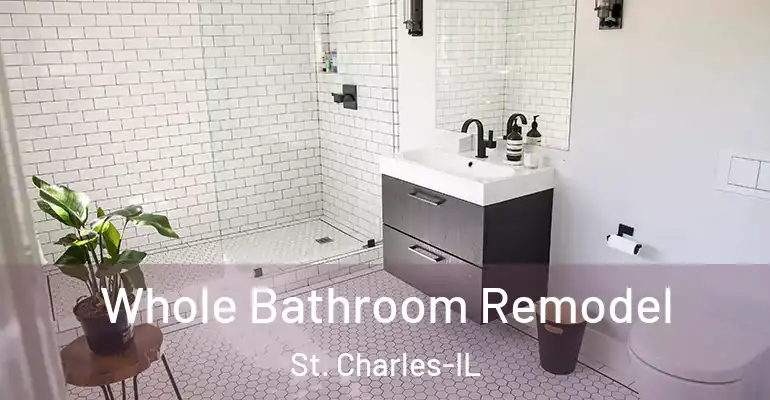 inner Bathroom imggen Whole Bathroom Remodel St. Charles-IL