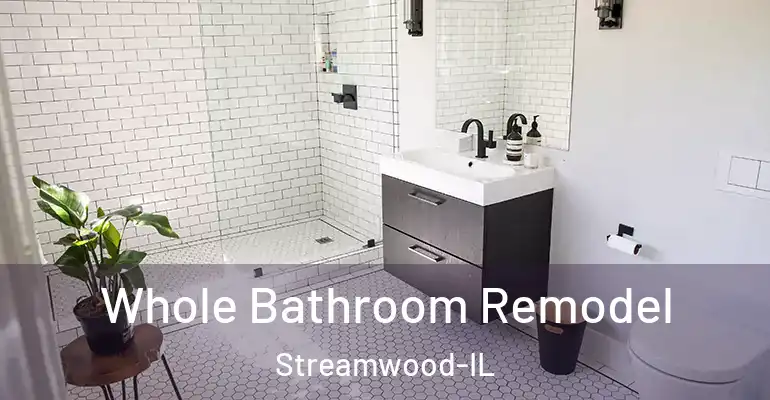 inner Bathroom imggen Whole Bathroom Remodel Streamwood-IL