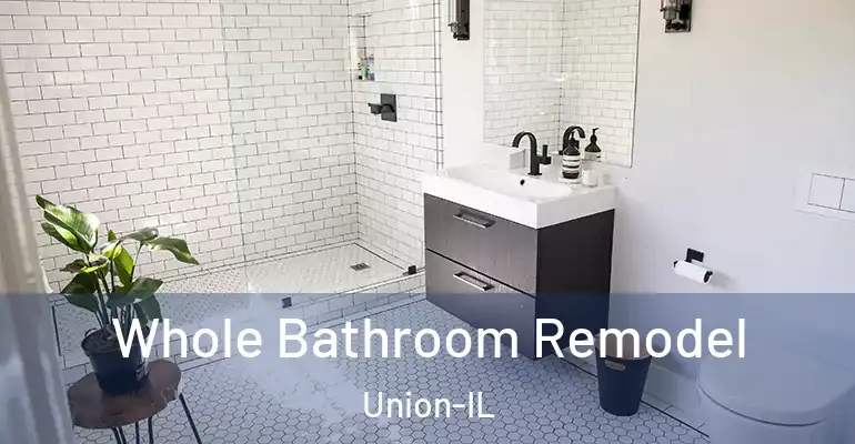 inner Bathroom imggen Whole Bathroom Remodel Union-IL
