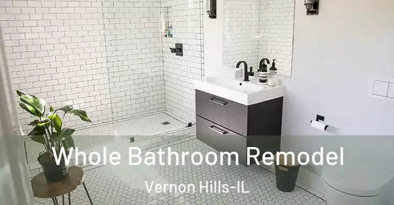 inner Bathroom imggen Whole Bathroom Remodel Vernon Hills-IL