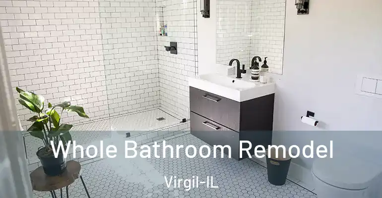 inner Bathroom imggen Whole Bathroom Remodel Virgil-IL