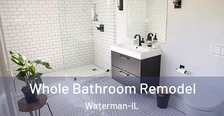 inner Bathroom imggen Whole Bathroom Remodel Waterman-IL