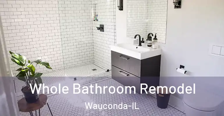 inner Bathroom imggen Whole Bathroom Remodel Wauconda-IL