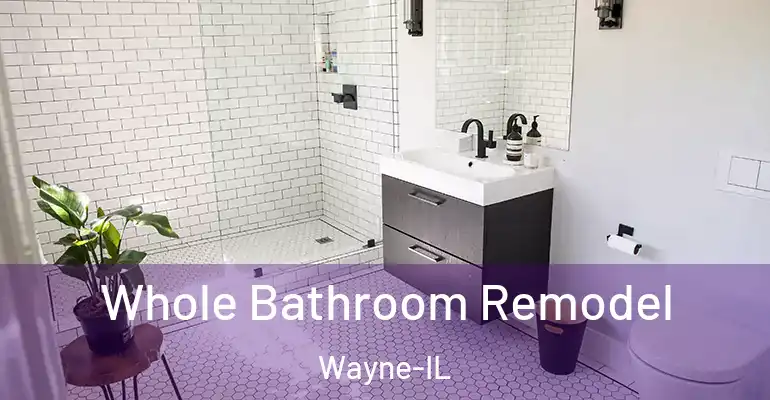 inner Bathroom imggen Whole Bathroom Remodel Wayne-IL