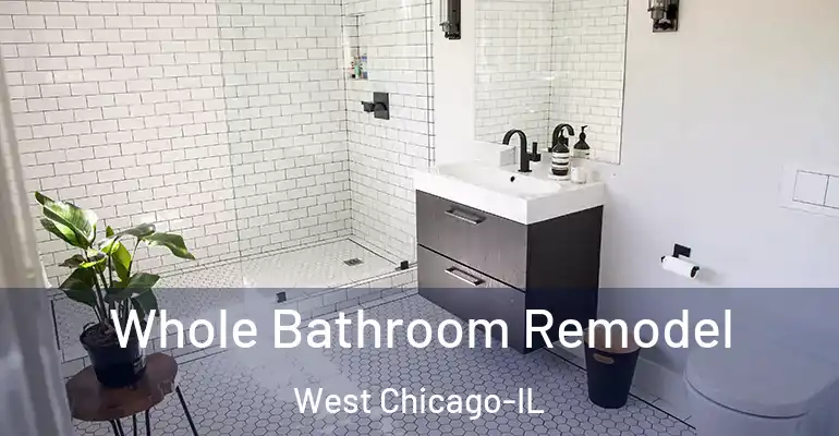 inner Bathroom imggen Whole Bathroom Remodel West Chicago-IL