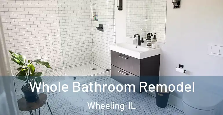 inner Bathroom imggen Whole Bathroom Remodel Wheeling-IL