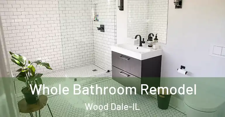 inner Bathroom imggen Whole Bathroom Remodel Wood Dale-IL