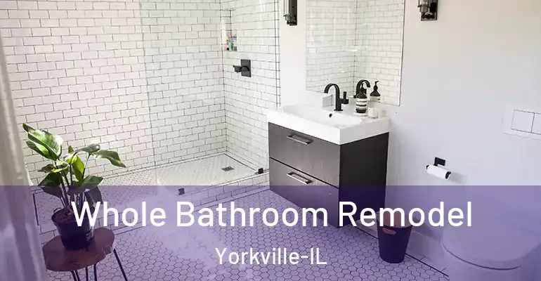 inner Bathroom imggen Whole Bathroom Remodel Yorkville-IL